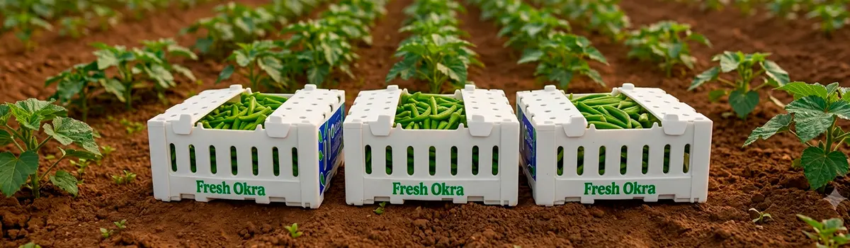 frutas e verduras frescas sendo coletadas no plantil
